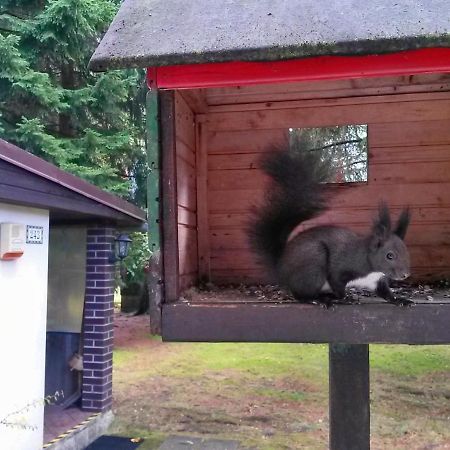 Dame Vam Pokoj - 4 Pokoje Se Sdilenou Kuchyni, Kapacita Max 9 Osob Harrachov Exterior foto